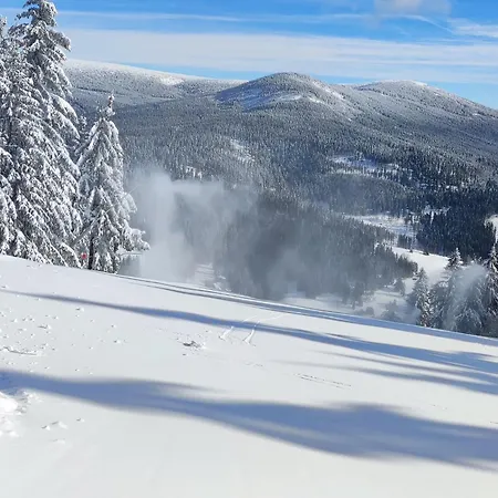 Enjoyharrachov Atraktivní Klidné 3 V Centru Harrachova S Parkováním, Velkou Terasou, Wifi-wlan, Sat Zdarma, Možností Dobíjení Auta, Výhledem Do Zahrady A Na Romantický Kostelík