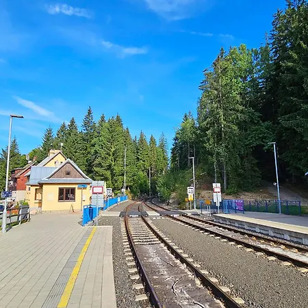 Enjoyharrachov Atraktivní Klidné 3 V Centru Harrachova S Parkováním, Velkou Terasou, Wifi-wlan, Sat Zdarma, Možností Dobíjení Auta, Výhledem Do Zahrady A Na Romantický Kostelík Apartmán *